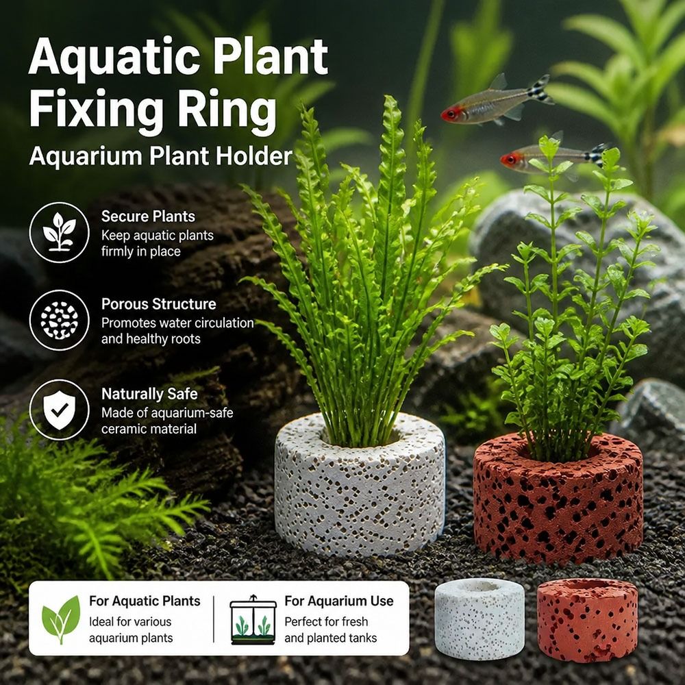10 adet ağırlıklı halka su bit - Planted Aquarium Pictures incelemesi ve fiyatı