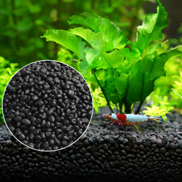 Akvaryum bitki tohumları topra - Planted Aquarium With Fish incelemesi ve fiyatı