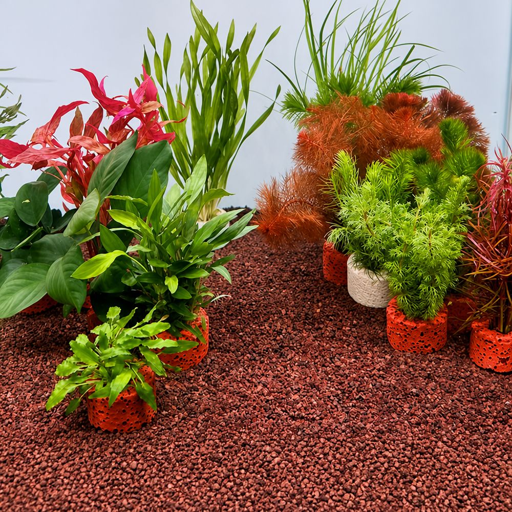 10 adet ağırlıklı halka su bit - Planted Aquarium Pictures incelemesi ve fiyatı