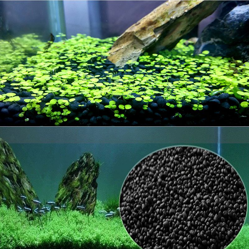 Balık Kumu Akvaryum Substrat 1 - Planted Aquarium With Sand incelemesi ve fiyatı