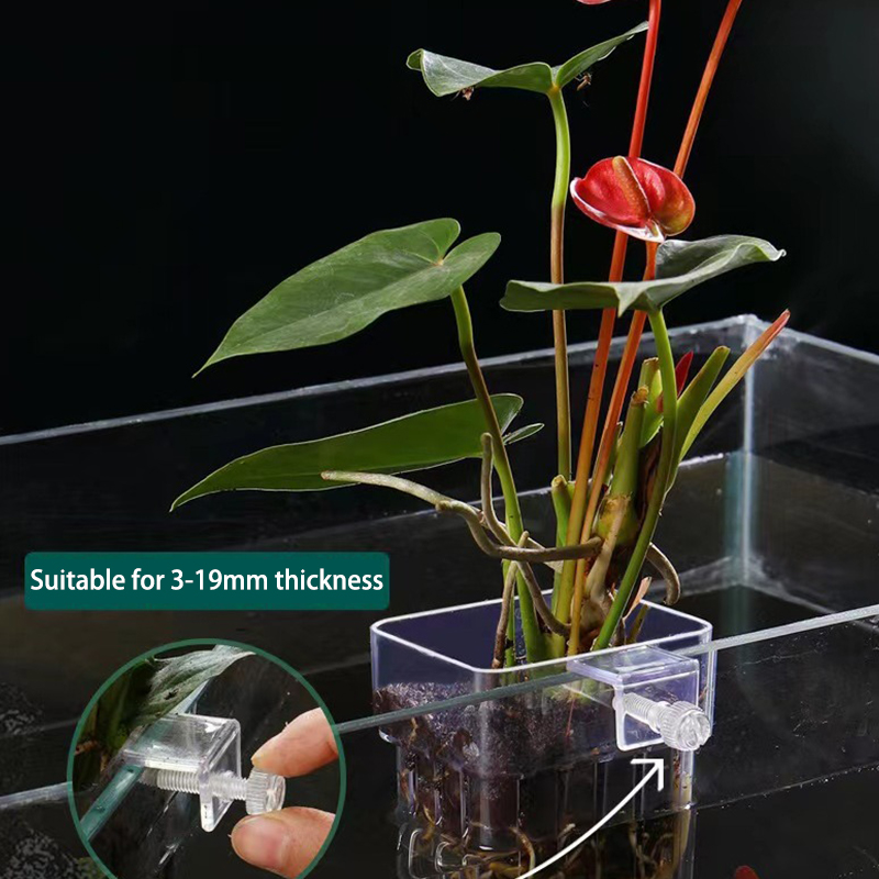 Çok fonksiyonlu balık akvaryum - Planted Aquarium With Fish incelemesi ve fiyatı