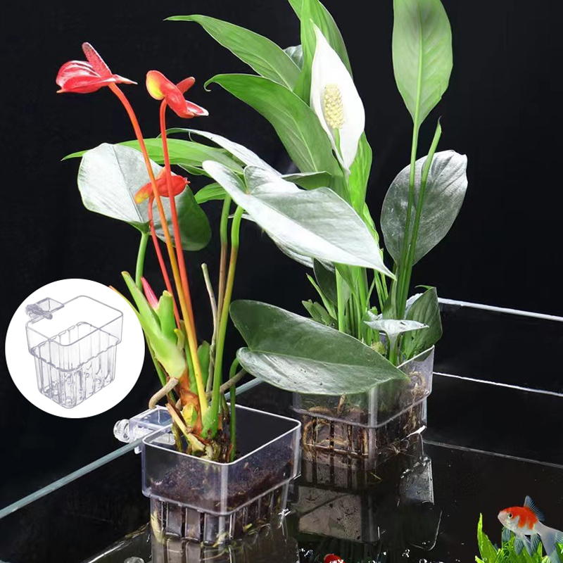 Çok fonksiyonlu balık akvaryum - Planted Aquarium With Fish incelemesi ve fiyatı