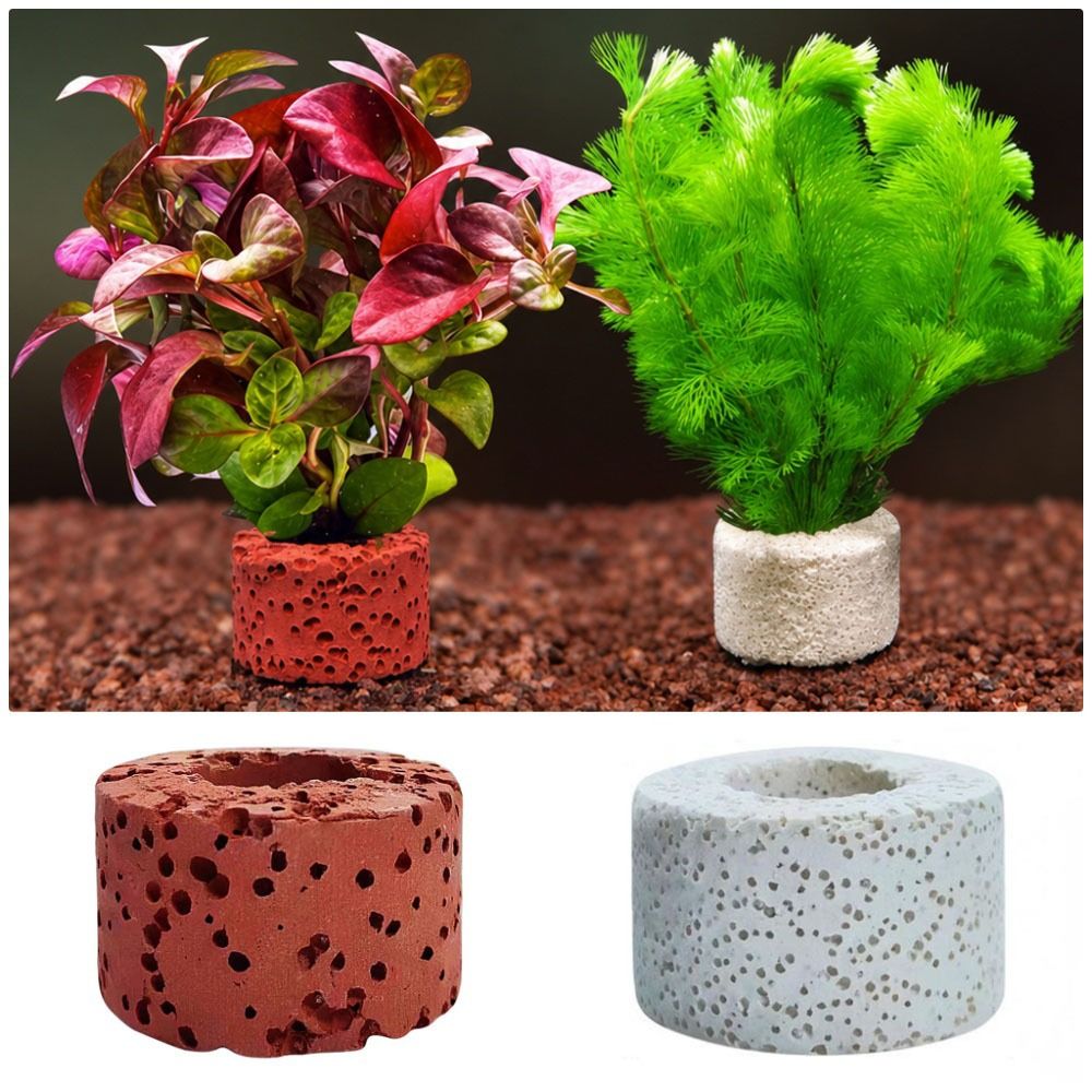 10 adet ağırlıklı halka su bit - Planted Aquarium Pictures incelemesi ve fiyatı
