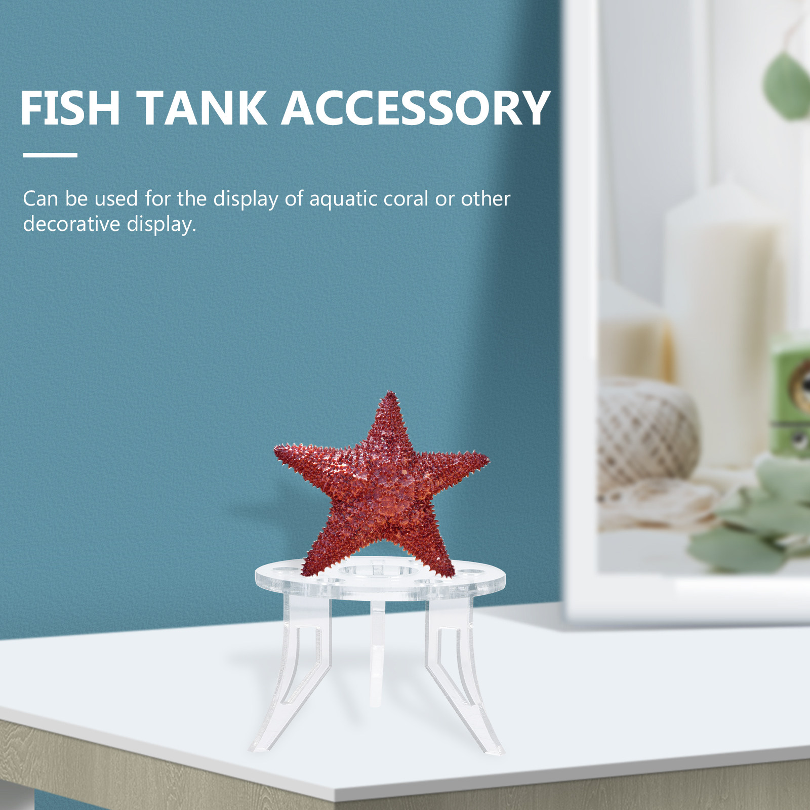 1 adet mercan tabanı şık güçlü - Aquarium Planted Setup incelemesi ve fiyatı